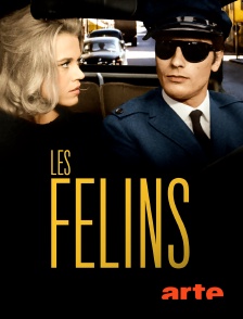 Les félins