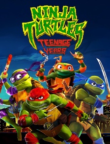 Ninja Turtles : Teenage years