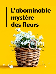 L'abominable mystère des fleurs