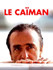 Le Caïman