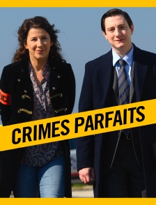 Crimes parfaits