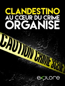 EXPLORE - Clandestino : au cœur du crime organisé