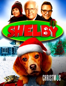 CHRISTMAS by Molotov - Shelby