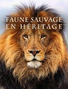 Faune sauvage en héritage
