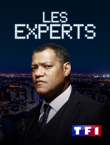 TF1 - Les experts