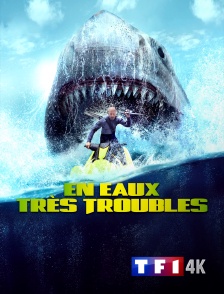 TF1 4K - En eaux très troubles
