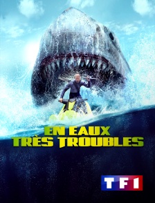 TF1 - En eaux très troubles