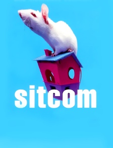 Sitcom