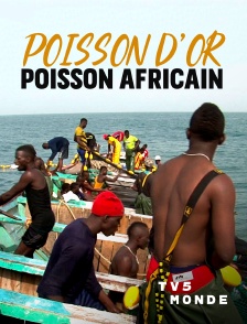 TV5MONDE - Poisson d’or, poisson africain