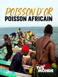 Poisson d’or, poisson africain