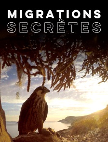 Migrations secrètes