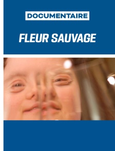 Fleur sauvage