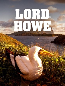 Lord Howe, la renaissance de l'île-sanctuaire