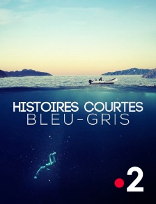 Histoires courtes : Bleu-gris