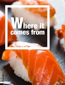 Where It Comes From