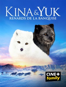 CINE+ Family - Kina & Yuk : renards de la banquise