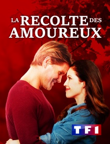 TF1 - La récolte des amoureux