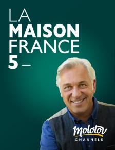 Molotov channels - La maison France 5