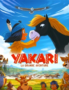 Yakari, la grande aventure