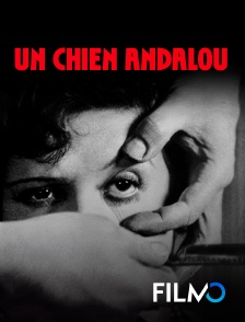 Un chien andalou