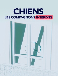 Chiens, les compagnons interdits