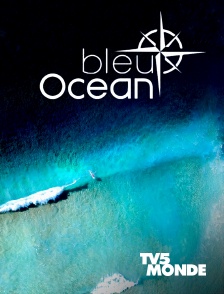 TV5MONDE - Bleu océan