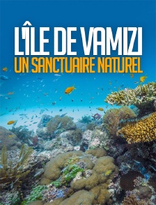 L'île de Vamizi, un sanctuaire naturel