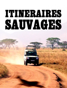 Itinéraires sauvages