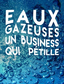 Eaux gazeuses, un business qui pétille