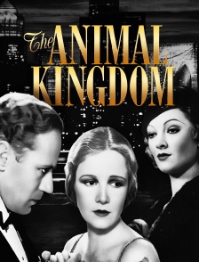 The Animal Kingdom