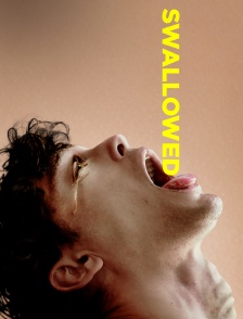 Swallowed