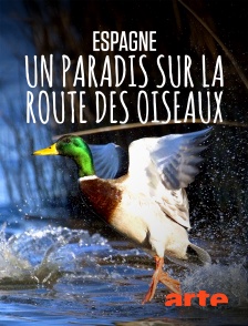 Arte - Espagne : un paradis sur la route des oiseaux