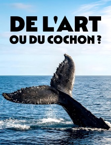 De l'art ou du cochon ? La créativité animale en question
