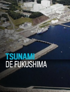 Tsunami de Fukushima