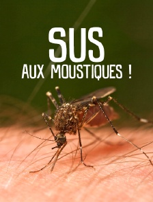 Sus aux moustiques !