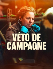 Véto de campagne