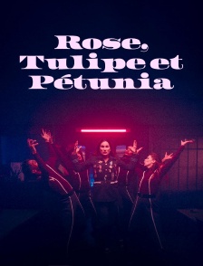 Rose, Tulipe et Pétunia