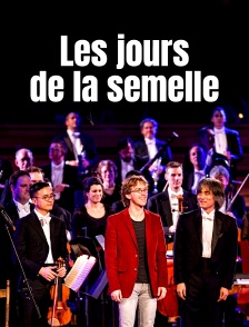 Les jours de la semelle