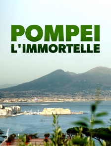 Pompéi l'immortelle