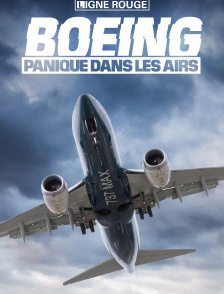 Boeing, panique dans les airs