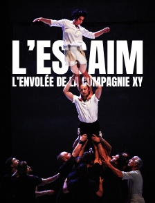 L'essaim : L'envolée de la compagnie XY