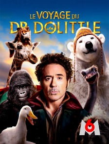 M6 - Le voyage du Dr Dolittle