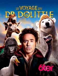 6ter - Le voyage du Dr Dolittle