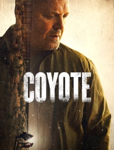 Coyote