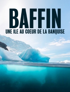 Baffin, une île au coeur de la banquise