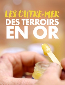 Les Outre-mer, des terroirs en or