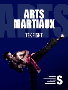 Sport en France - Arts martiaux - Tek Fight