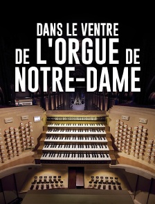 Dans le ventre de l'orgue de Notre-Dame