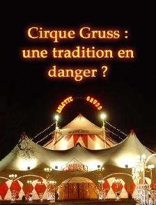 Cirque Gruss : une tradition en danger ?