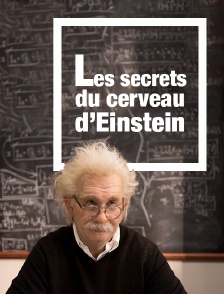Les secrets du cerveau d'Einstein
